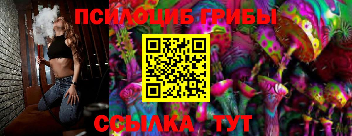Псилоцибиновые грибы Psilocybine cubensis Смоленск